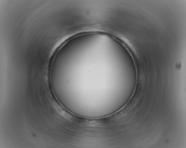 X0000090921460200708201754