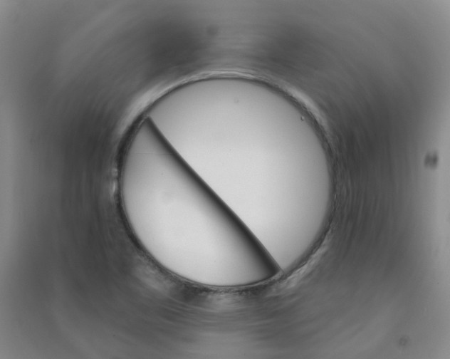 X0000090921461200708201754