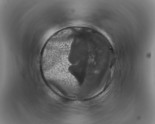 X0000090921463200708201754