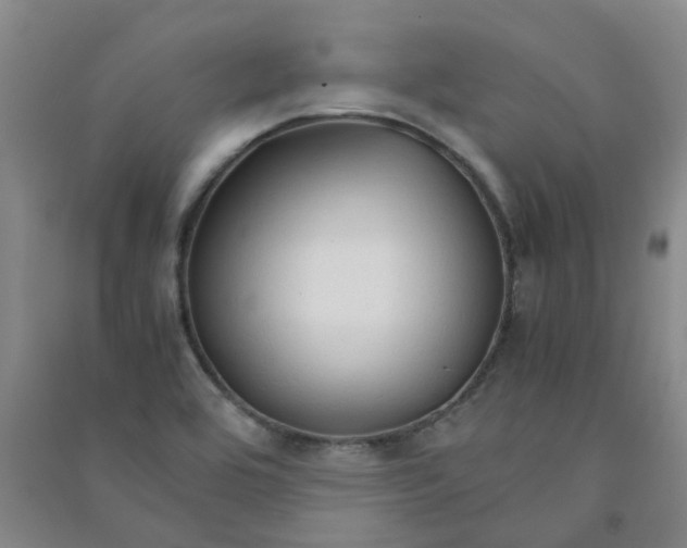 X0000090921464200708201754