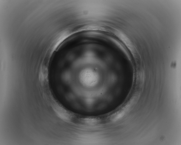 X0000090921465200708201754