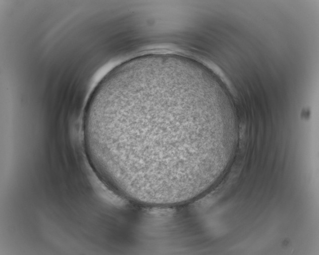 X0000090921466200708201754