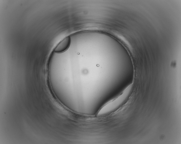 X0000090921467200708201754