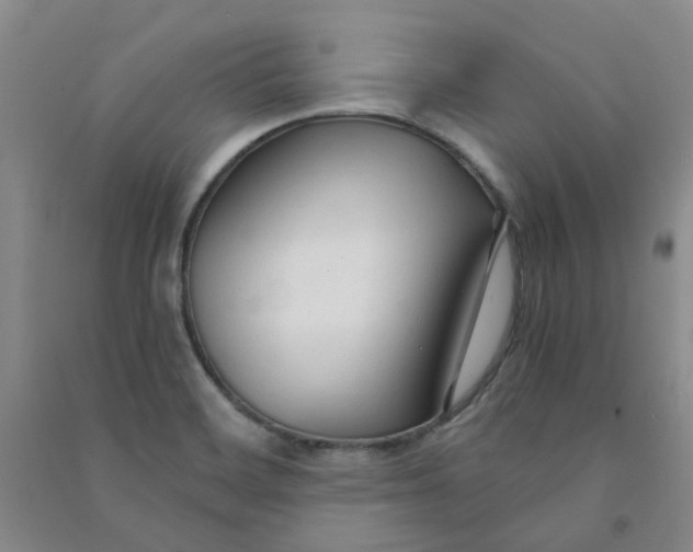 X0000090921468200708201754