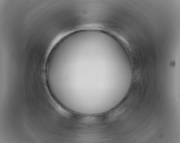 X0000090921470200708201754