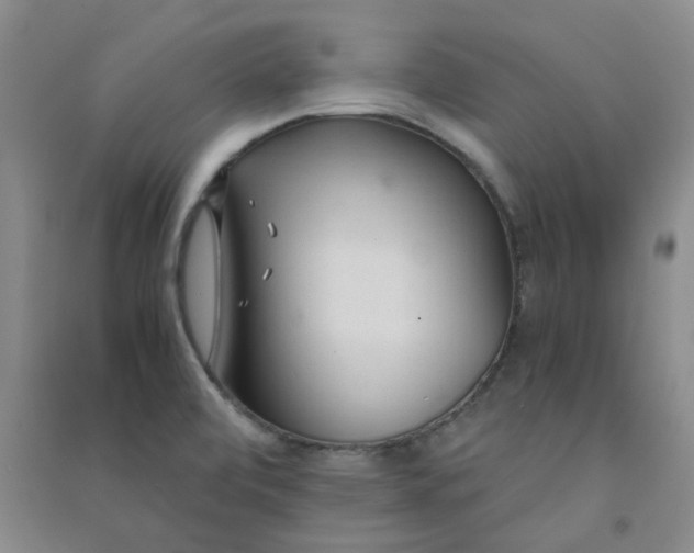 X0000090921472200708201754