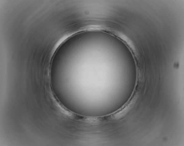 X0000090921473200708201754