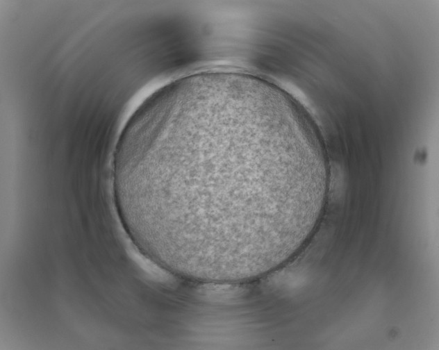 X0000090921474200708201754