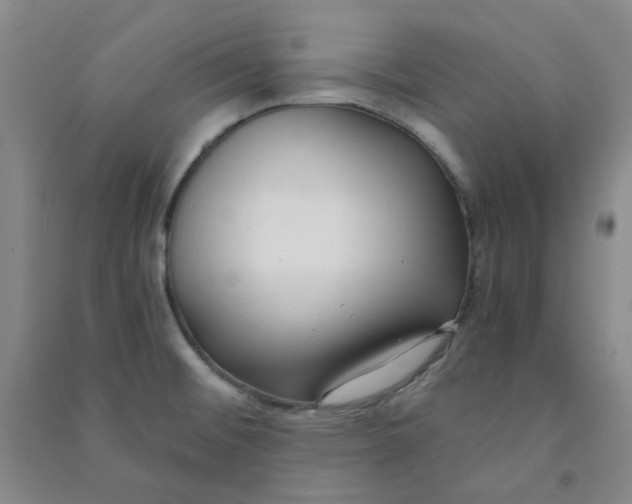 X0000090921476200708201754