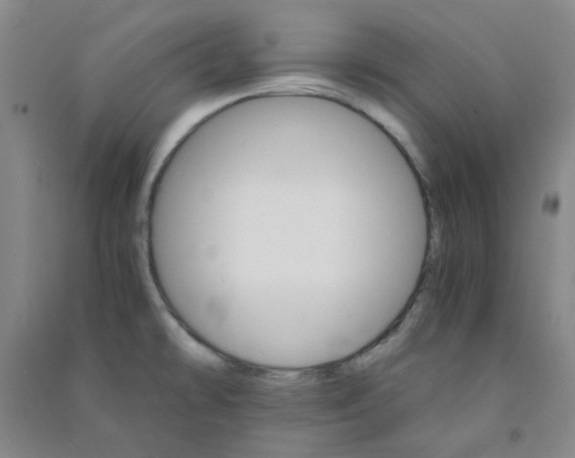 X0000090921478200708201754