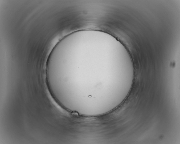 X0000090921479200708201754