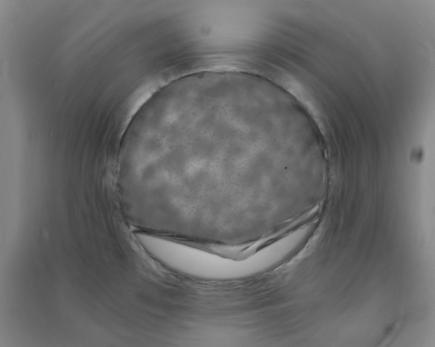 X0000090921481200708201754