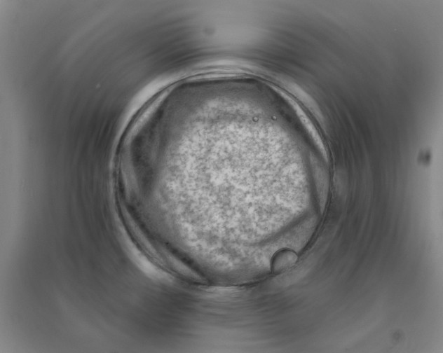 X0000090921482200708201754