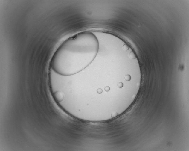 X0000090921483200708201754