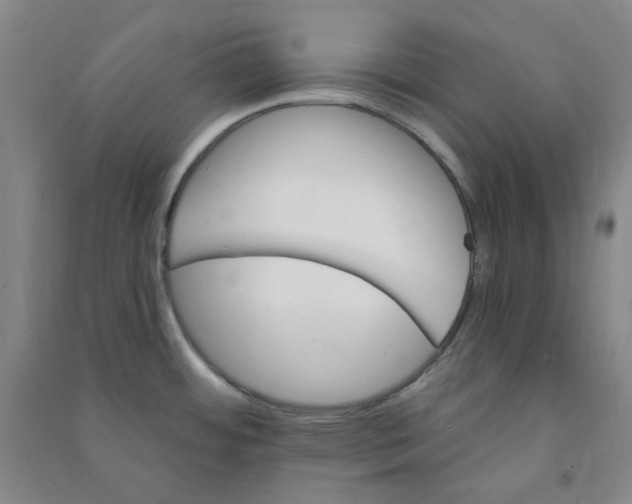 X0000090921484200708201754