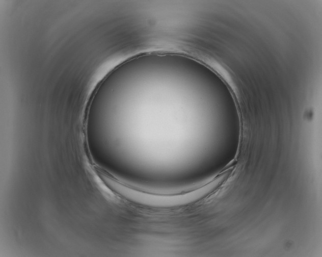 X0000090921485200708201754