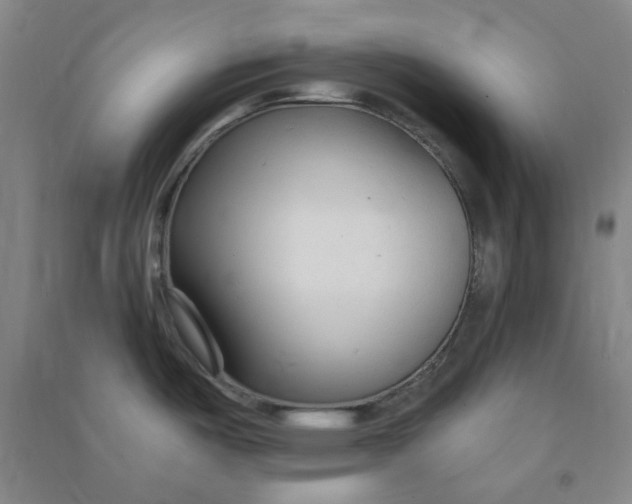 X0000090921487200708201754