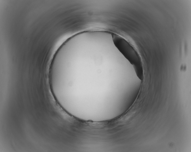 X0000090921488200708201754