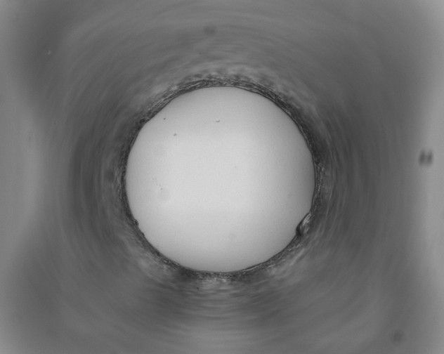 X0000090921489200708201753