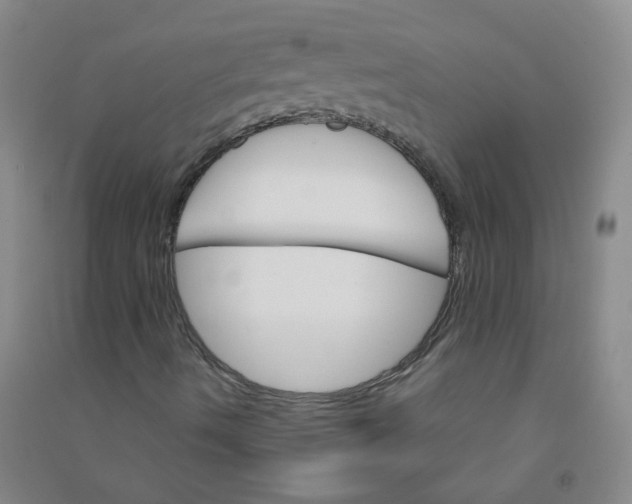 X0000090921490200708201753