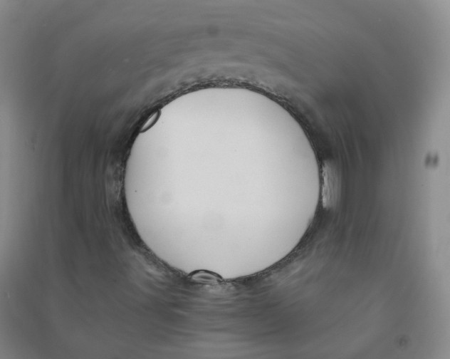 X0000090921491200708201753