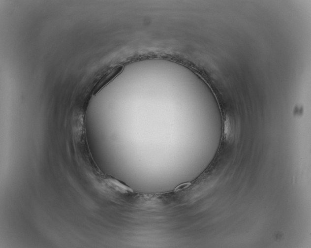 X0000090921492200708201753