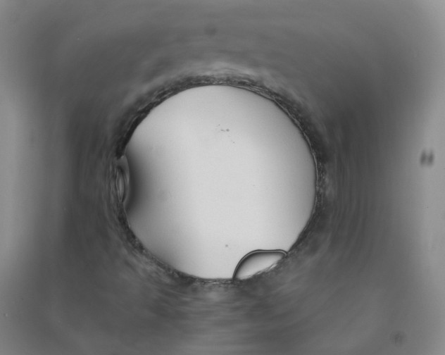 X0000090921493200708201753