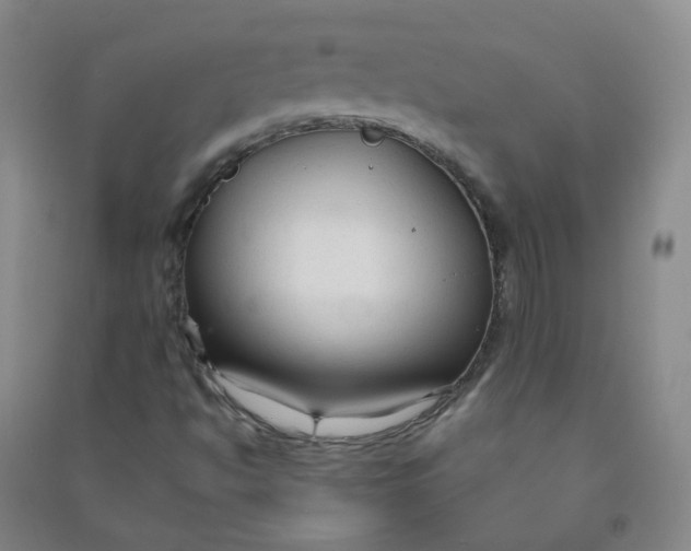 X0000090921494200708201753