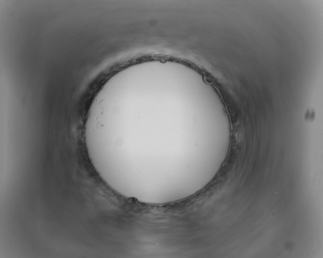 X0000090921495200708201753