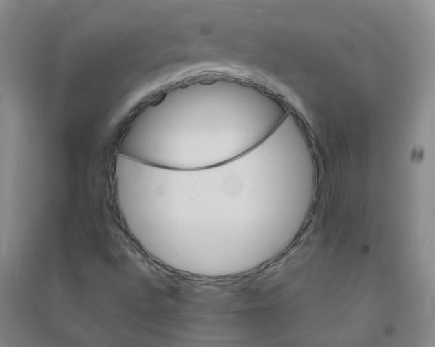 X0000090921496200708201753