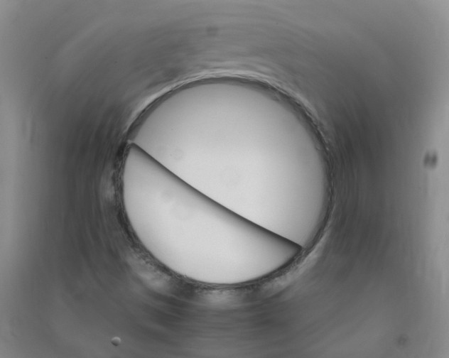 X0000090921497200708201753