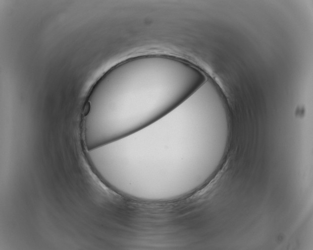 X0000090921500200708201753