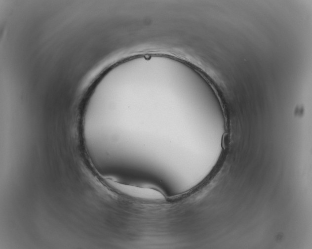 X0000090921502200708201753