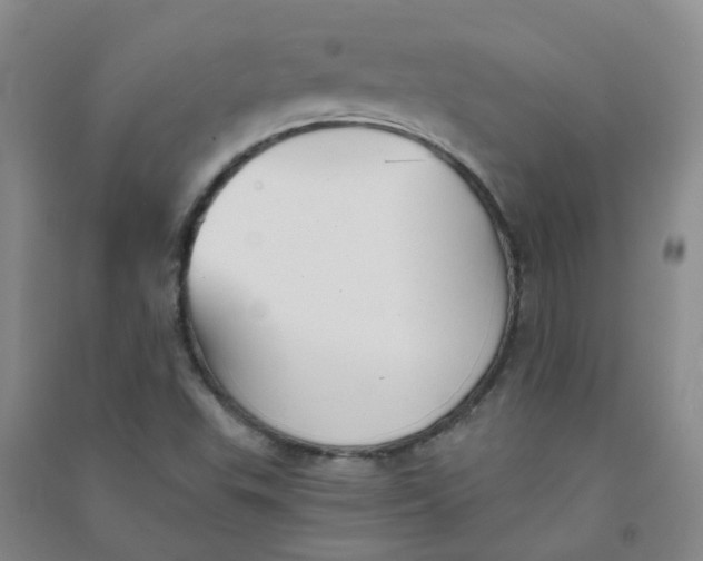 X0000090921503200708201753