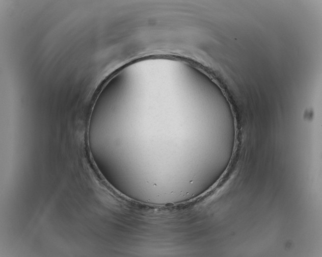 X0000090921505200708201753