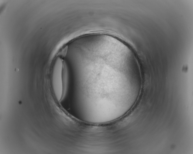 X0000090921506200708201753