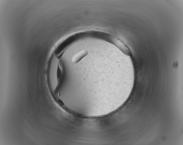 X0000090921508200708201753