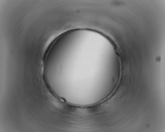 X0000090921509200708201753