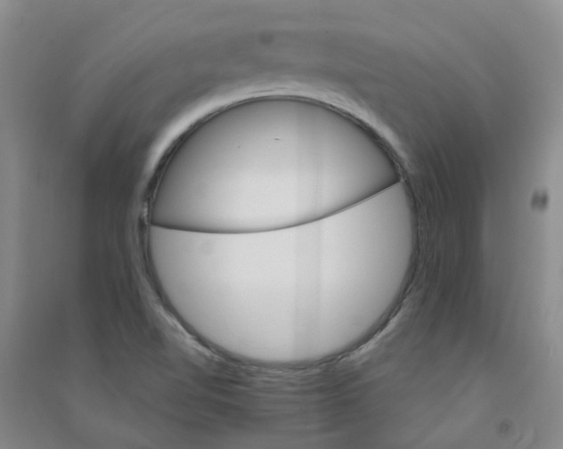 X0000090921510200708201753