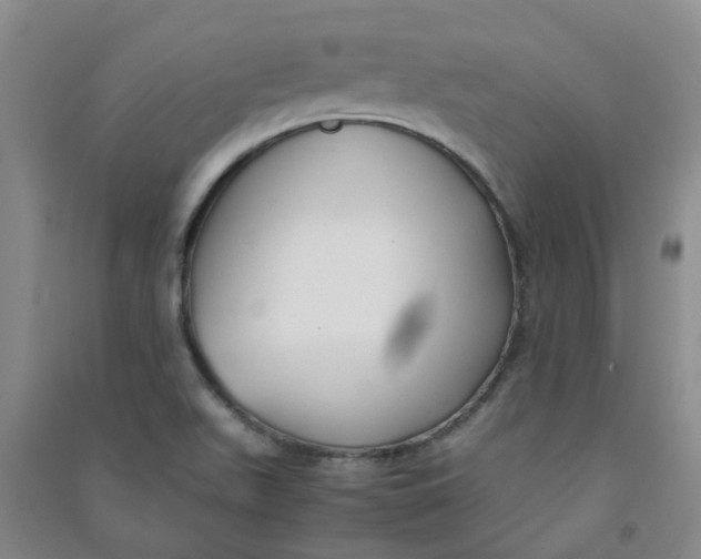 X0000090921511200708201753