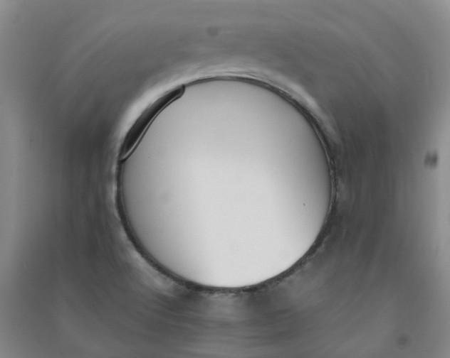 X0000090921512200708201753