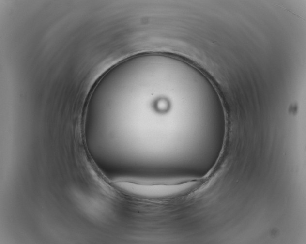 X0000090921513200708201753