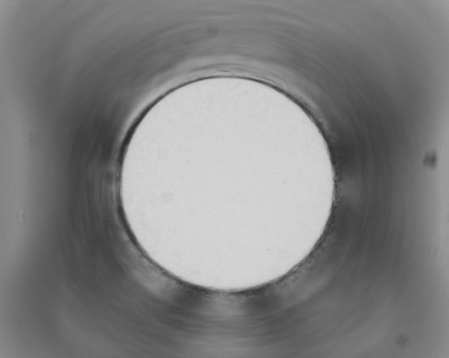 X0000090921514200708201753