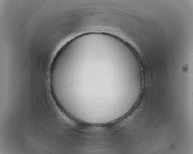 X0000090921517200708201753