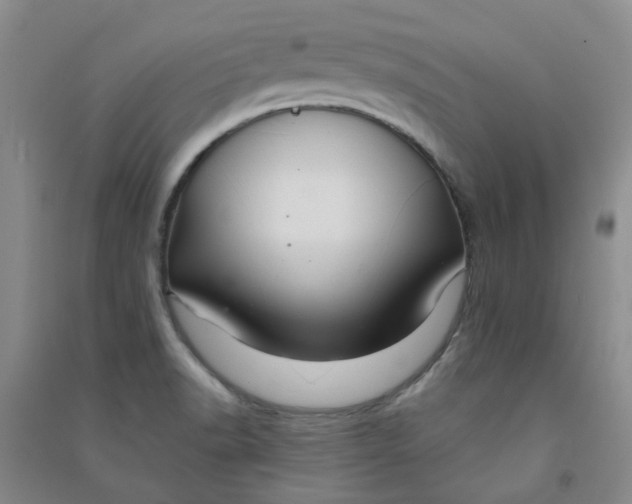 X0000090921518200708201753