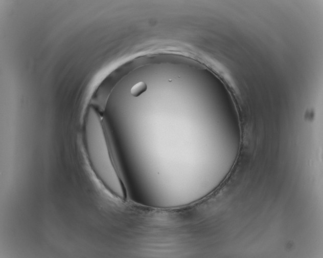 X0000090921520200708201753