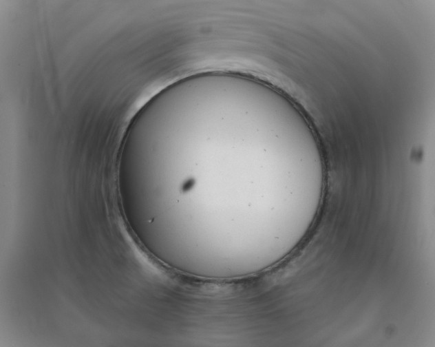 X0000090921521200708201753