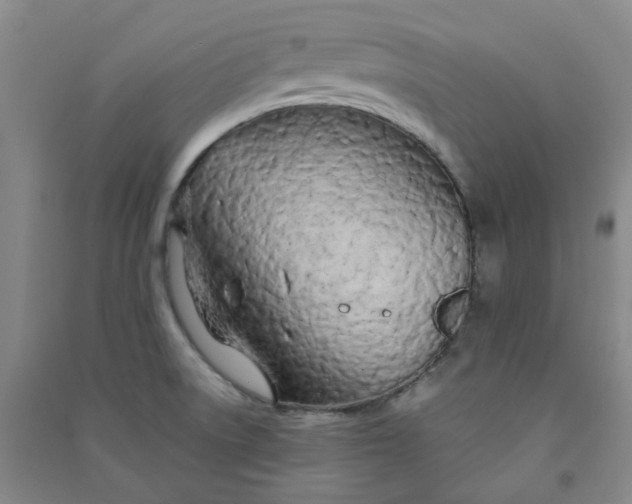 X0000090921522200708201753