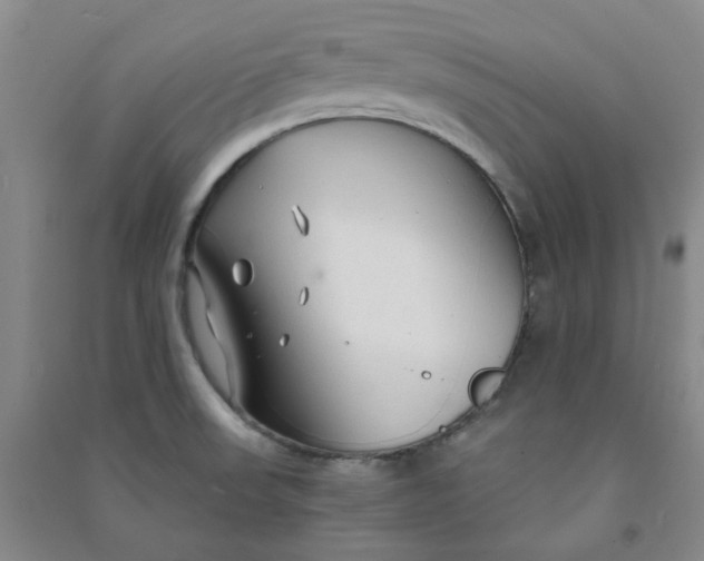 X0000090921523200708201753