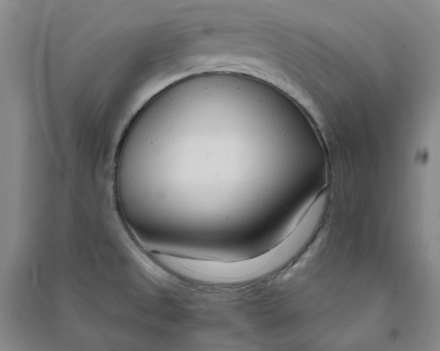 X0000090921525200708201753